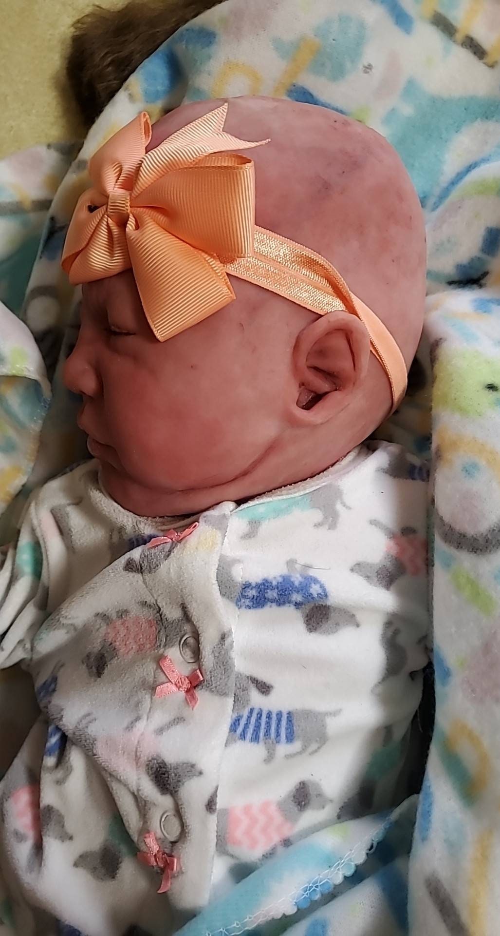 Full body silicone baby 19" Emerly  chunky newborn