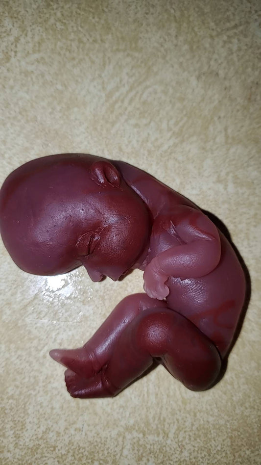 18 week gestational silicone fetus memorial baby