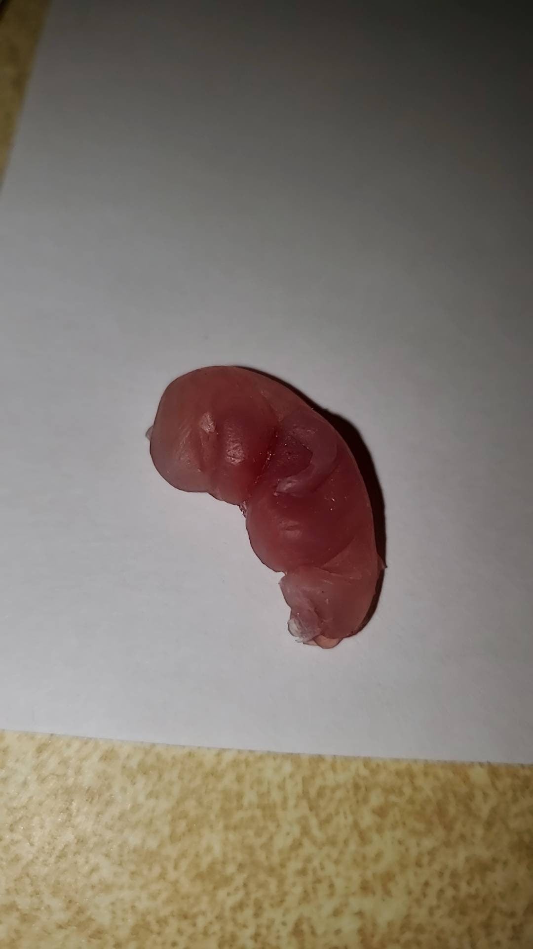 8 week gestational fetus silicone baby translucent with red