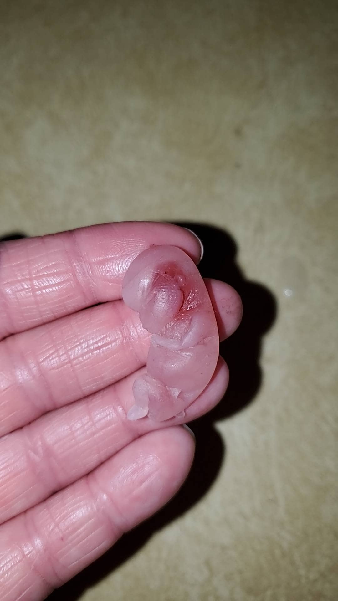 8 week gestational fetus silicone baby translucent with red