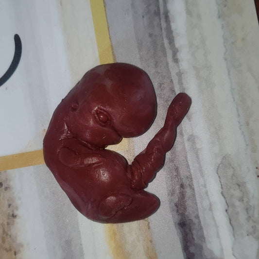 13 week sized gestation silicone fetus memorial baby with umbilical cord