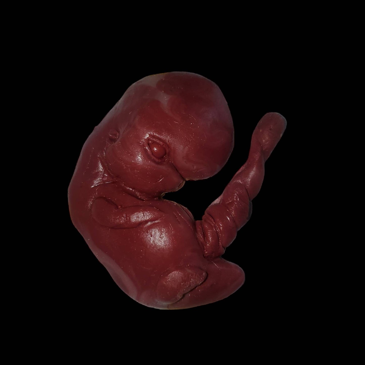 13 week sized gestation silicone fetus memorial baby with umbilical cord