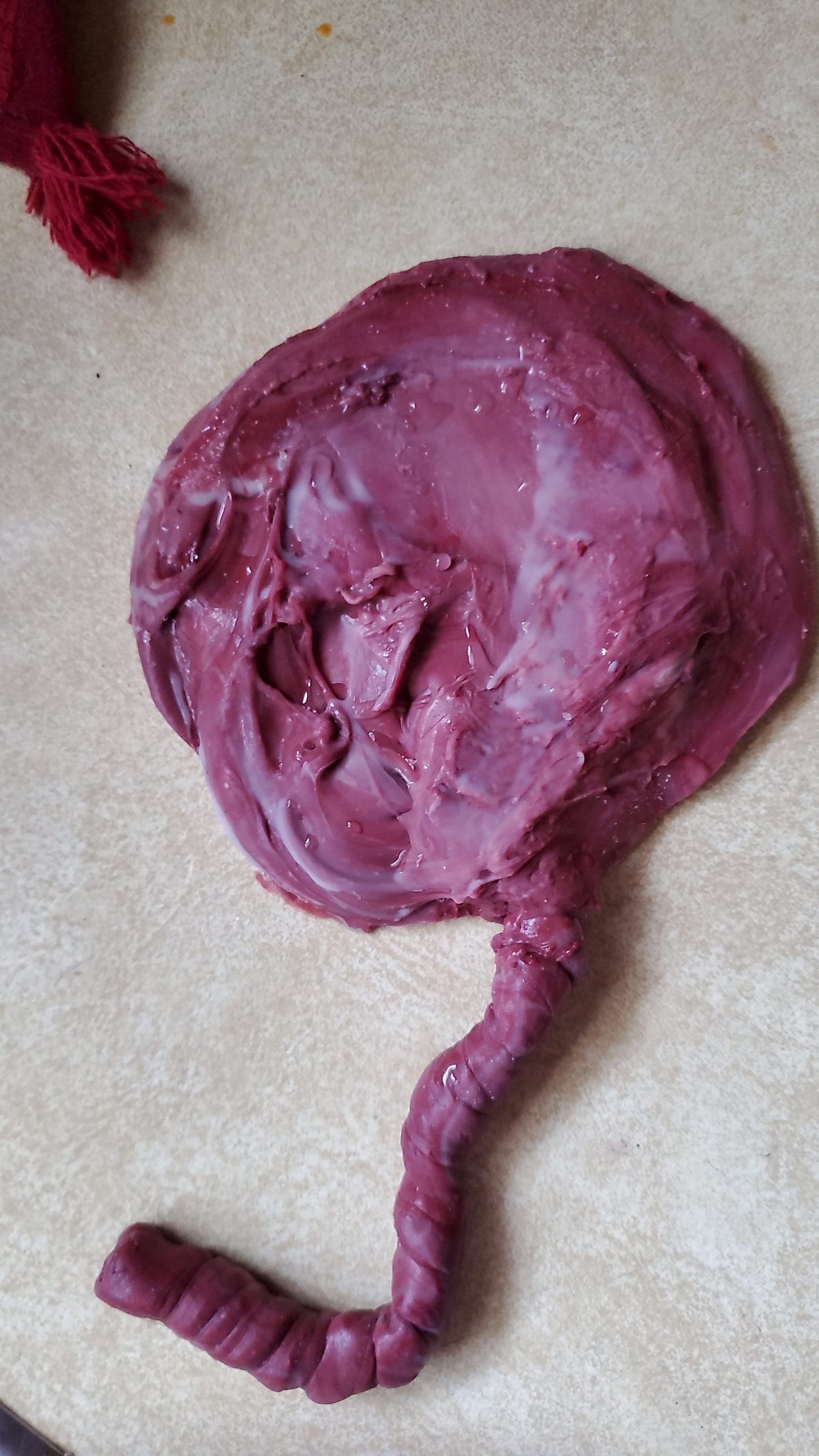 Silicone placenta and umbilical cord for silicone baby newborn baby size