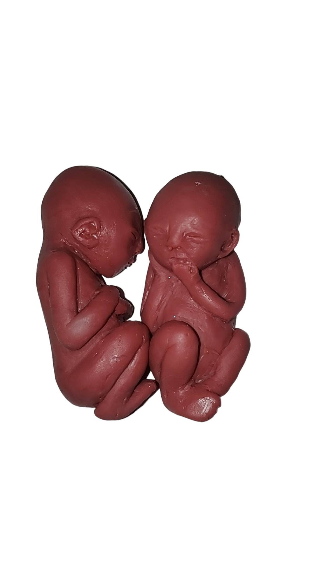 19 week silicone memorial fetus twins