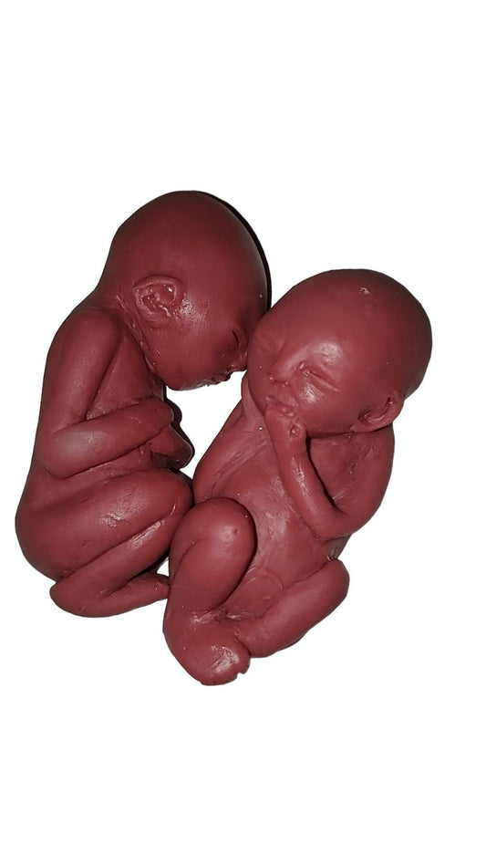 19 week silicone memorial fetus twins