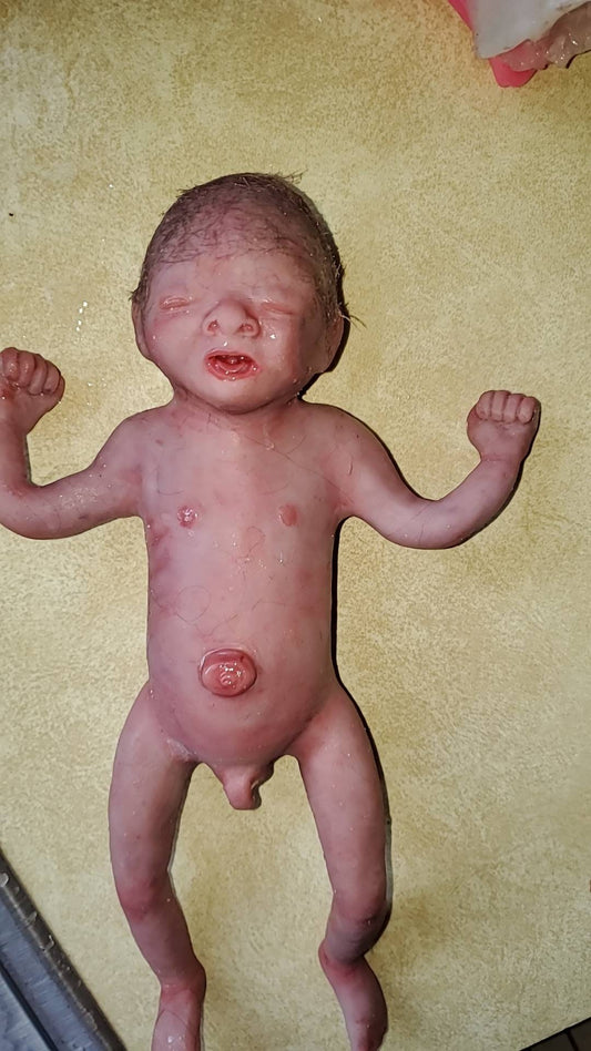 Full Body Silicone Baby 24-25 week gestation 11" marvin