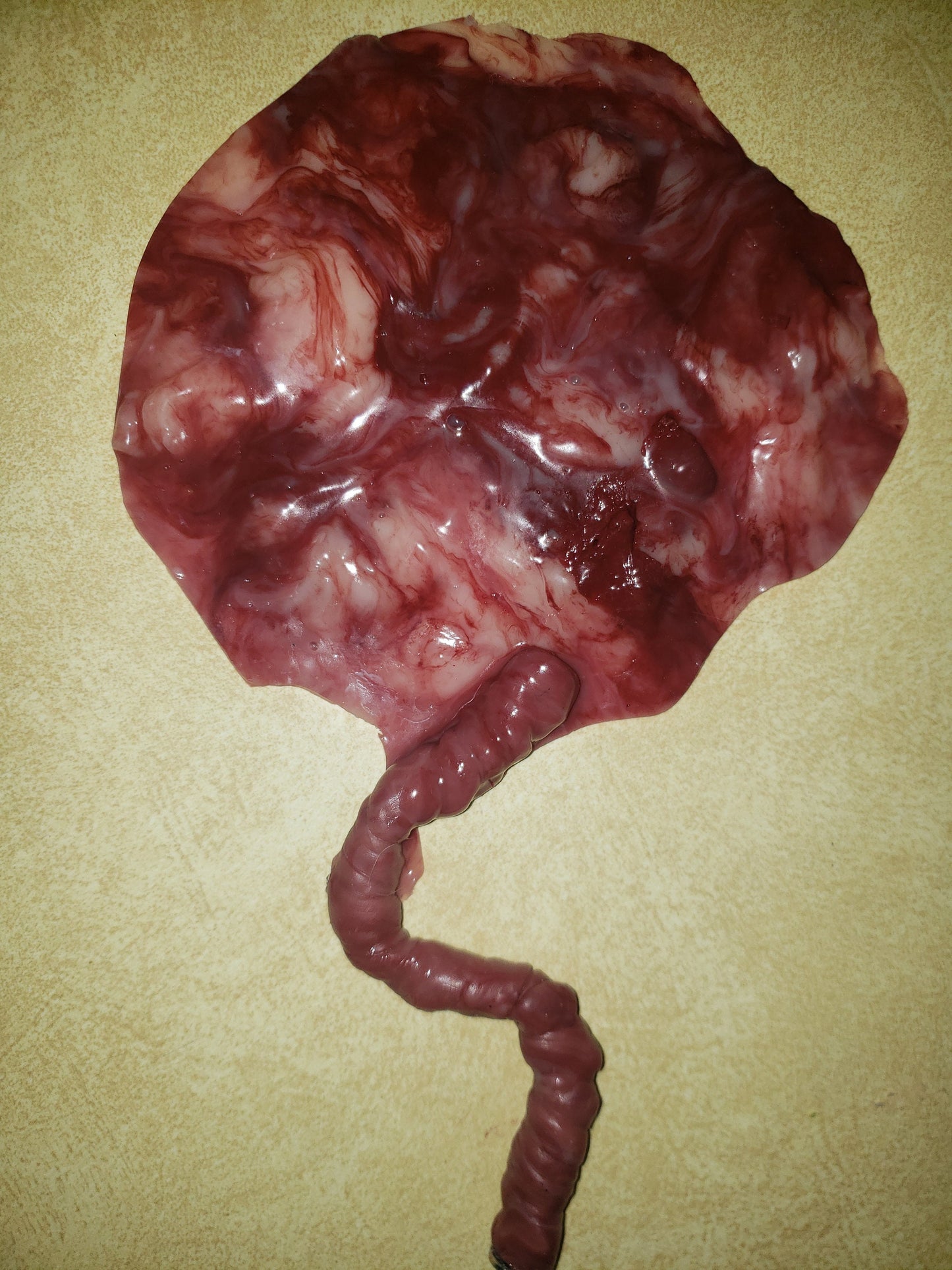 warning graphic** Silicone placenta and umbilical cord for silicone baby