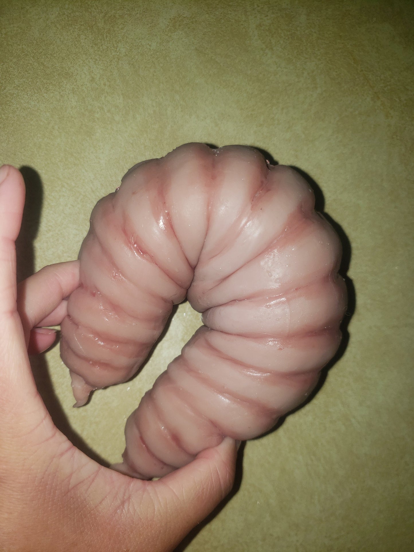 Full-body silicone flobber worm from Harry Potter 10 inches