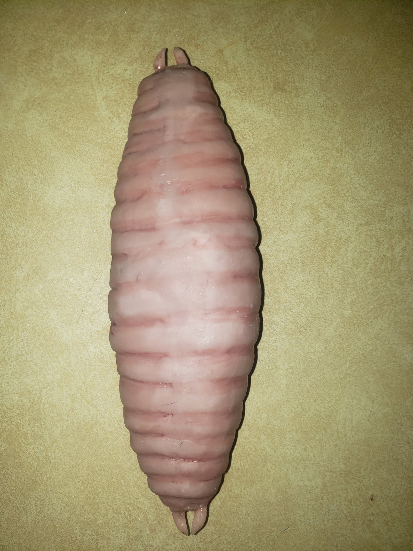 Full-body silicone flobber worm from Harry Potter 10 inches