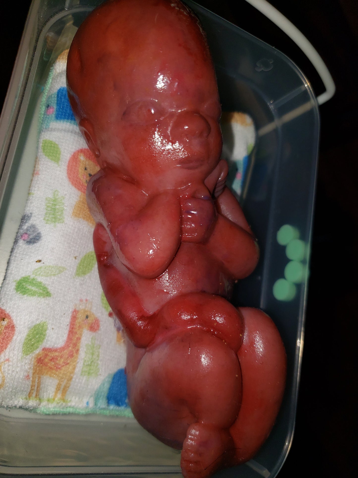 8" curled up silicone baby 22 week gestation memorial baby born too soon