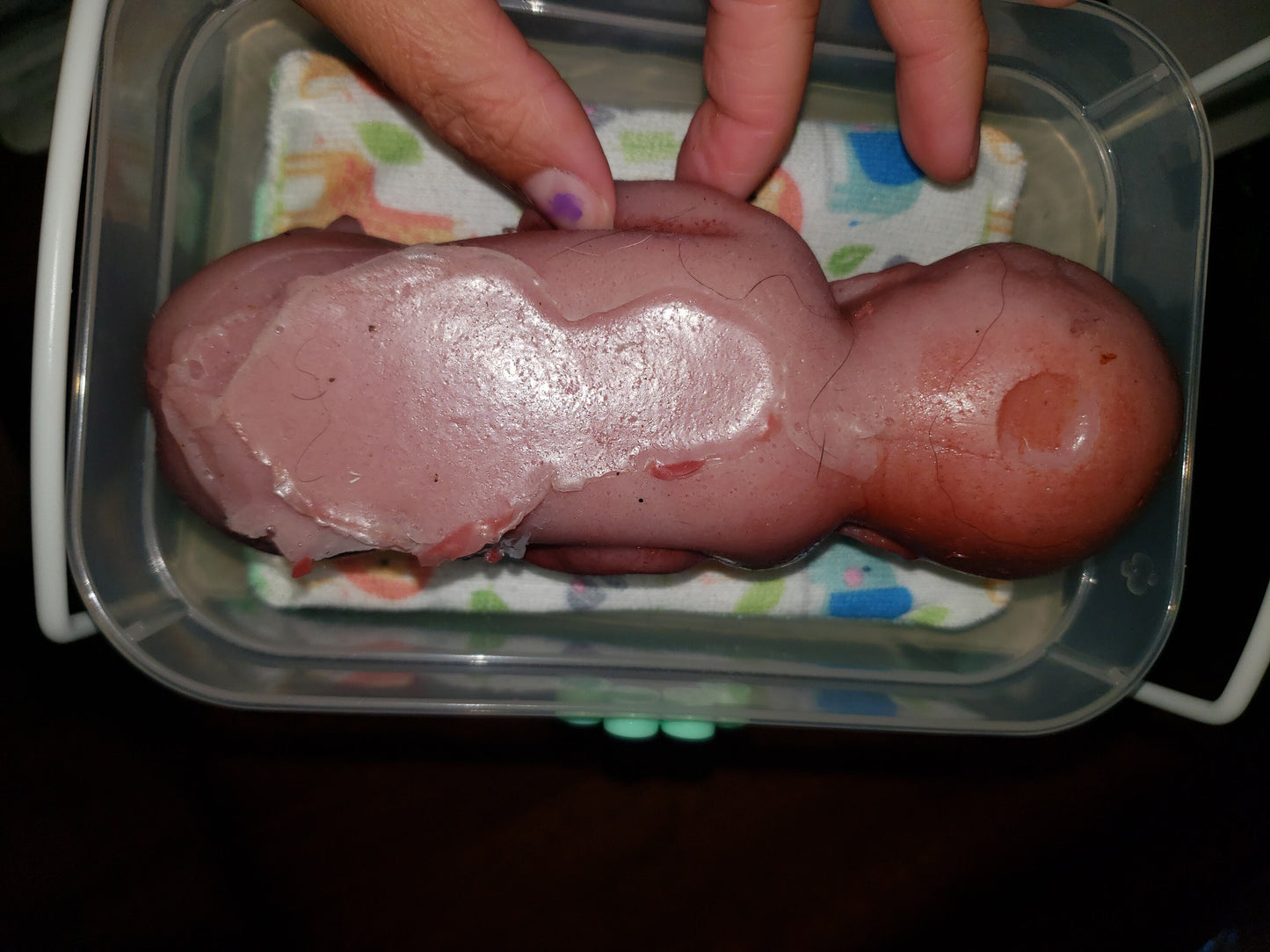 8" curled up silicone baby 22 week gestation memorial baby born too soon