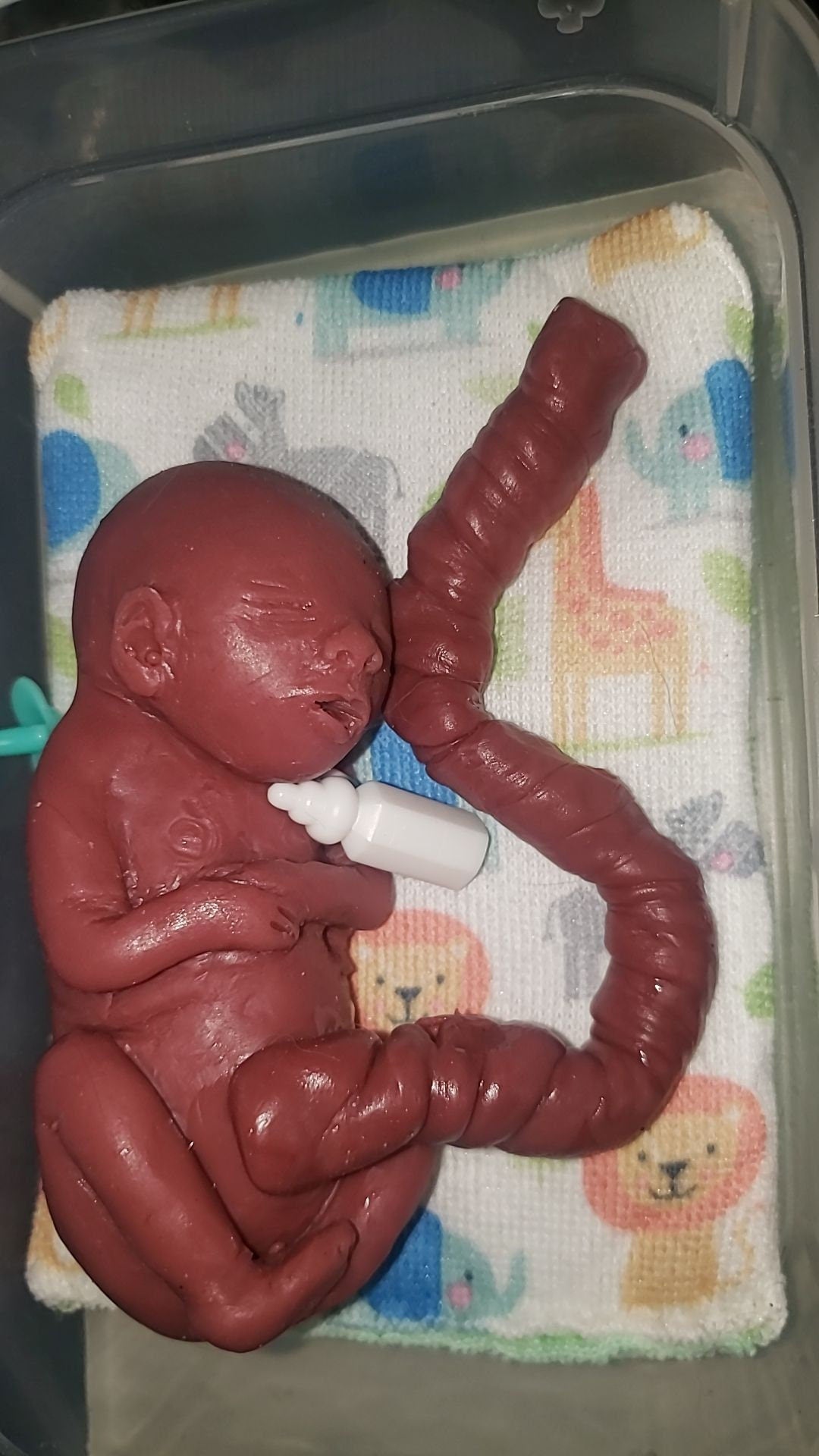 20 week gestational memorial fetus silicone baby curled up full body with umbilical cord attached