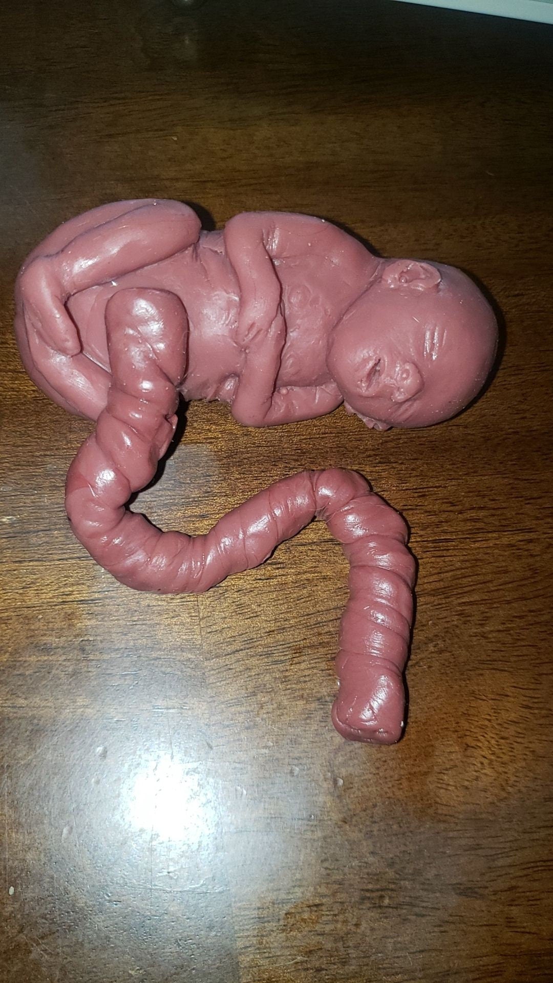 20 week gestational memorial fetus silicone baby curled up full body with umbilical cord attached