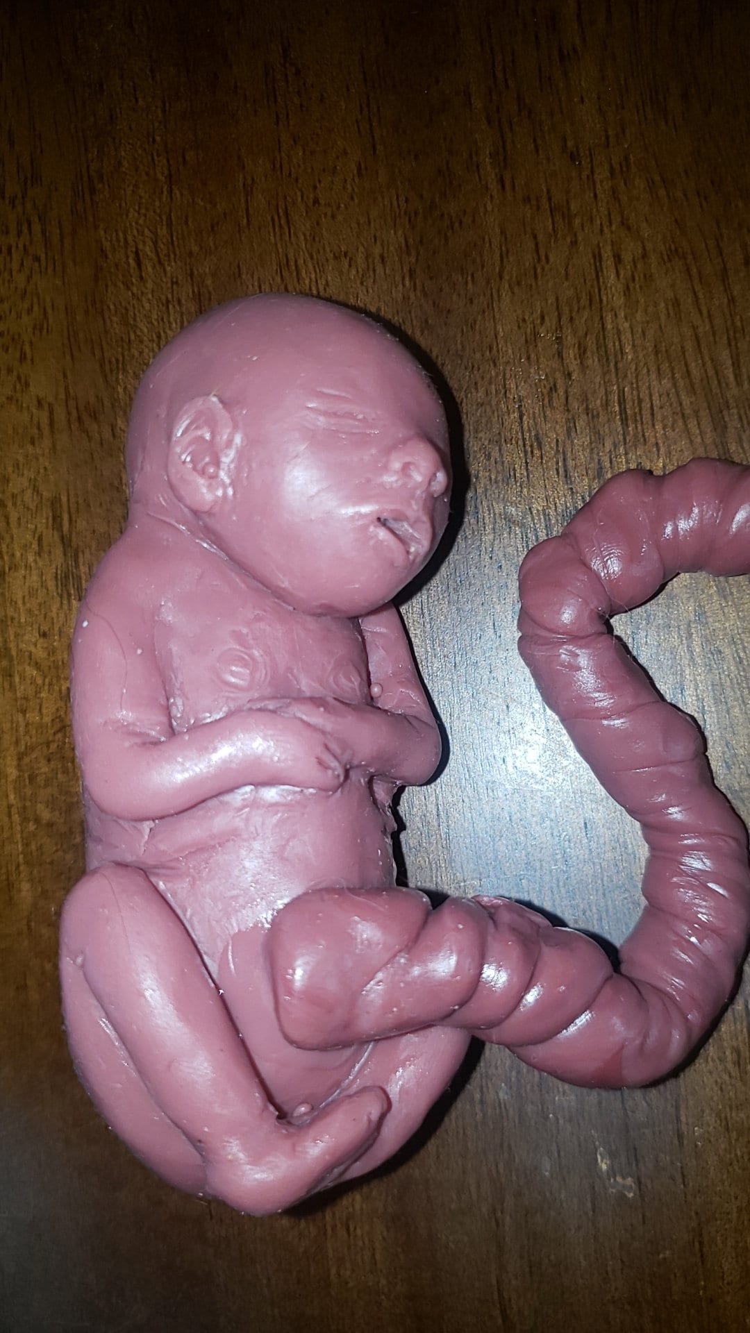 20 week gestational memorial fetus silicone baby curled up full body with umbilical cord attached