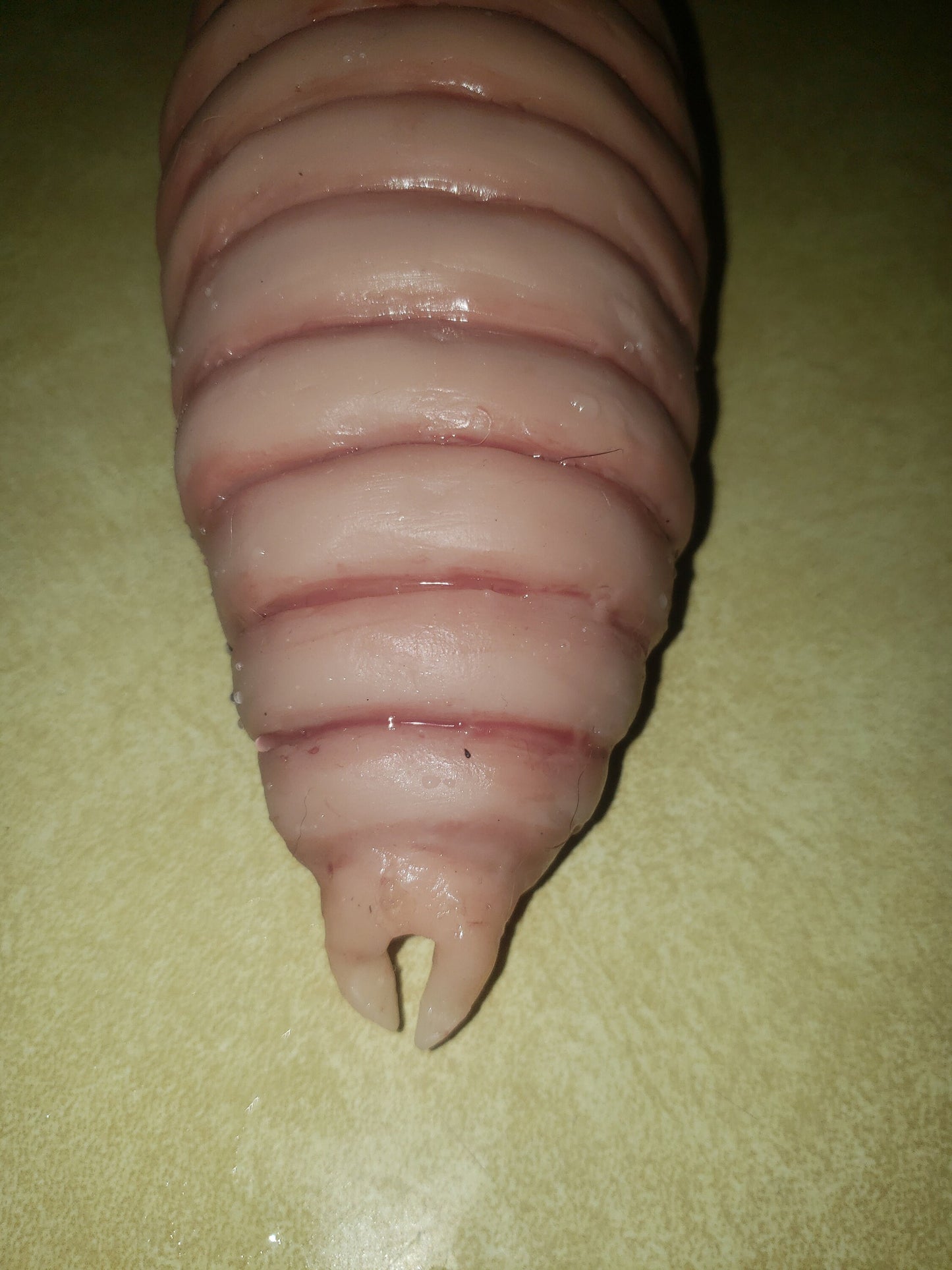 Full-body silicone flobber worm from Harry Potter 10 inches
