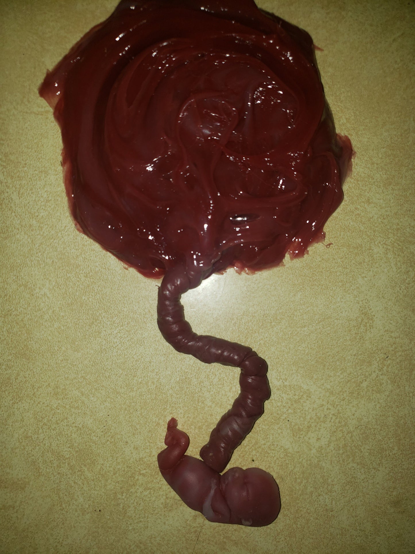 Silicone placenta and umbilical cord for silicone baby newborn baby size