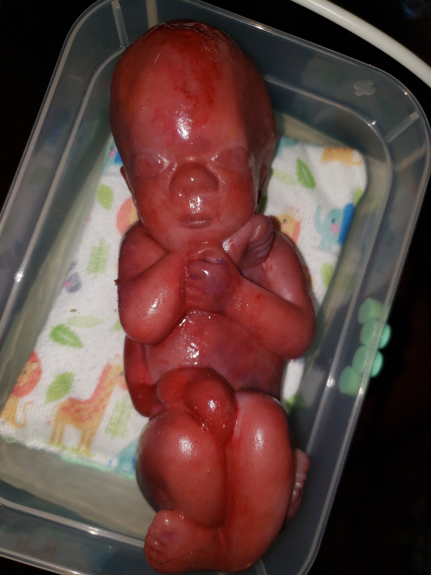 8" curled up silicone baby 22 week gestation memorial baby born too soon