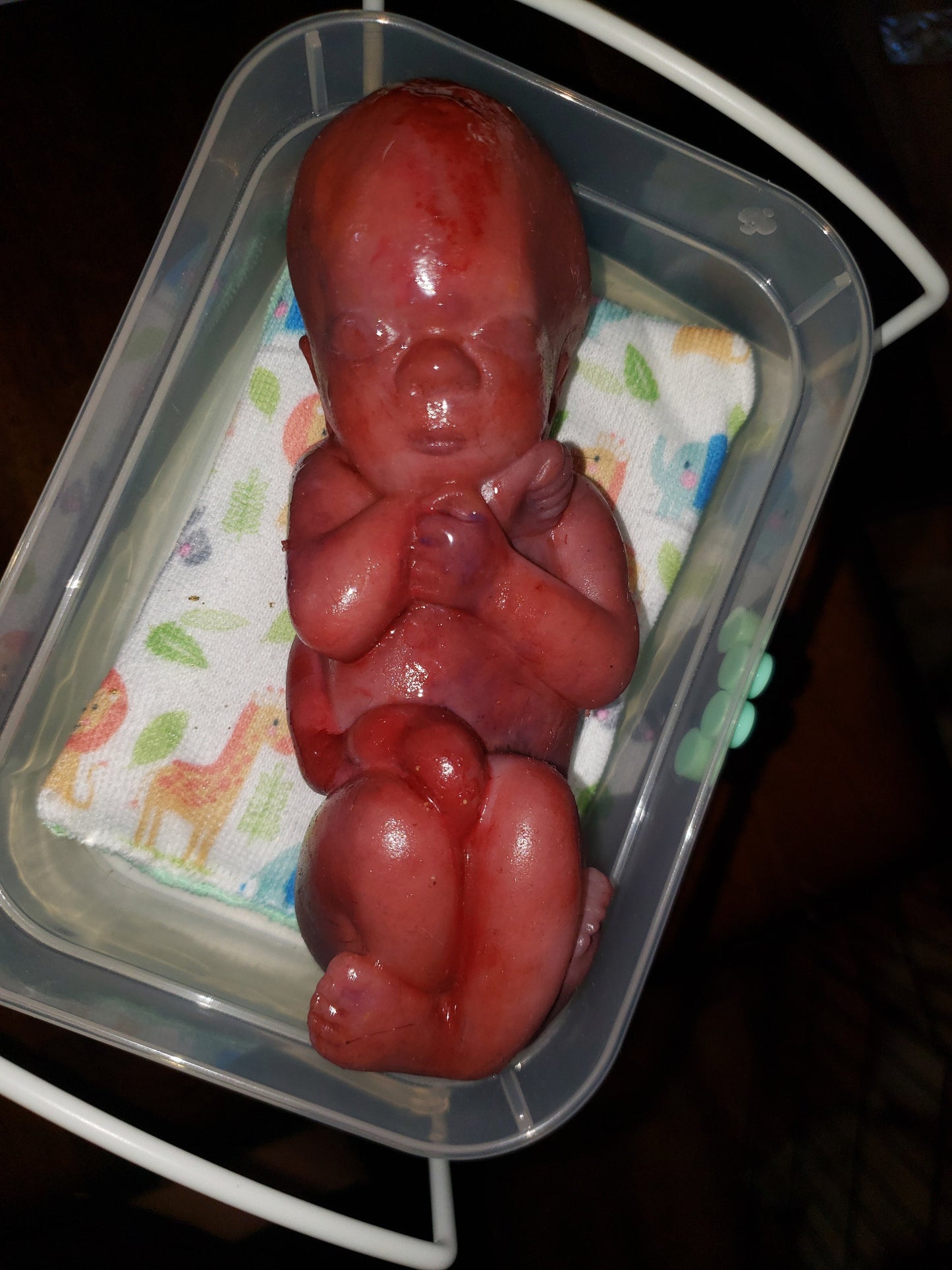 8" curled up silicone baby 22 week gestation memorial baby born too soon
