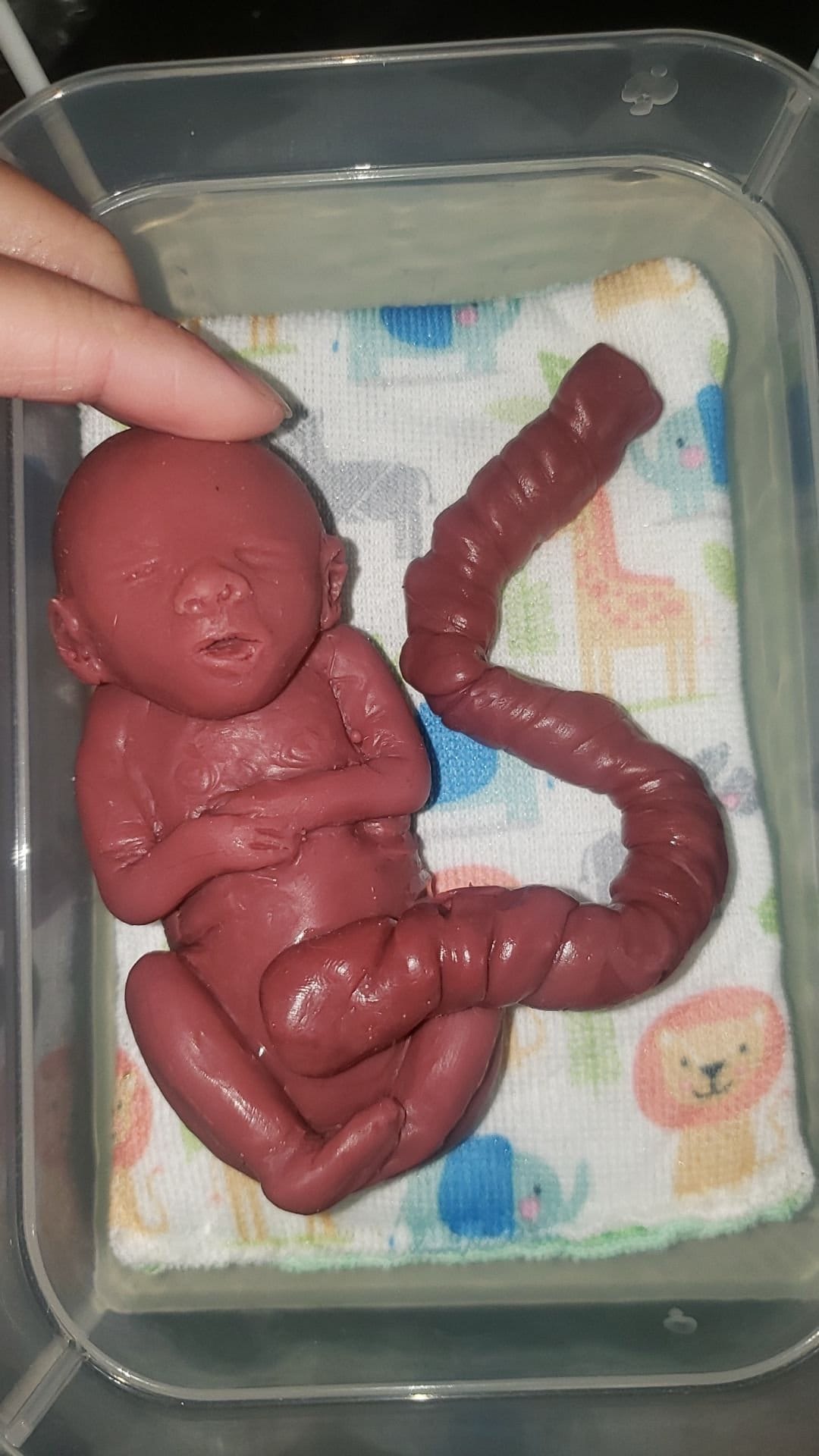 20 week gestational memorial fetus silicone baby curled up full body with umbilical cord attached