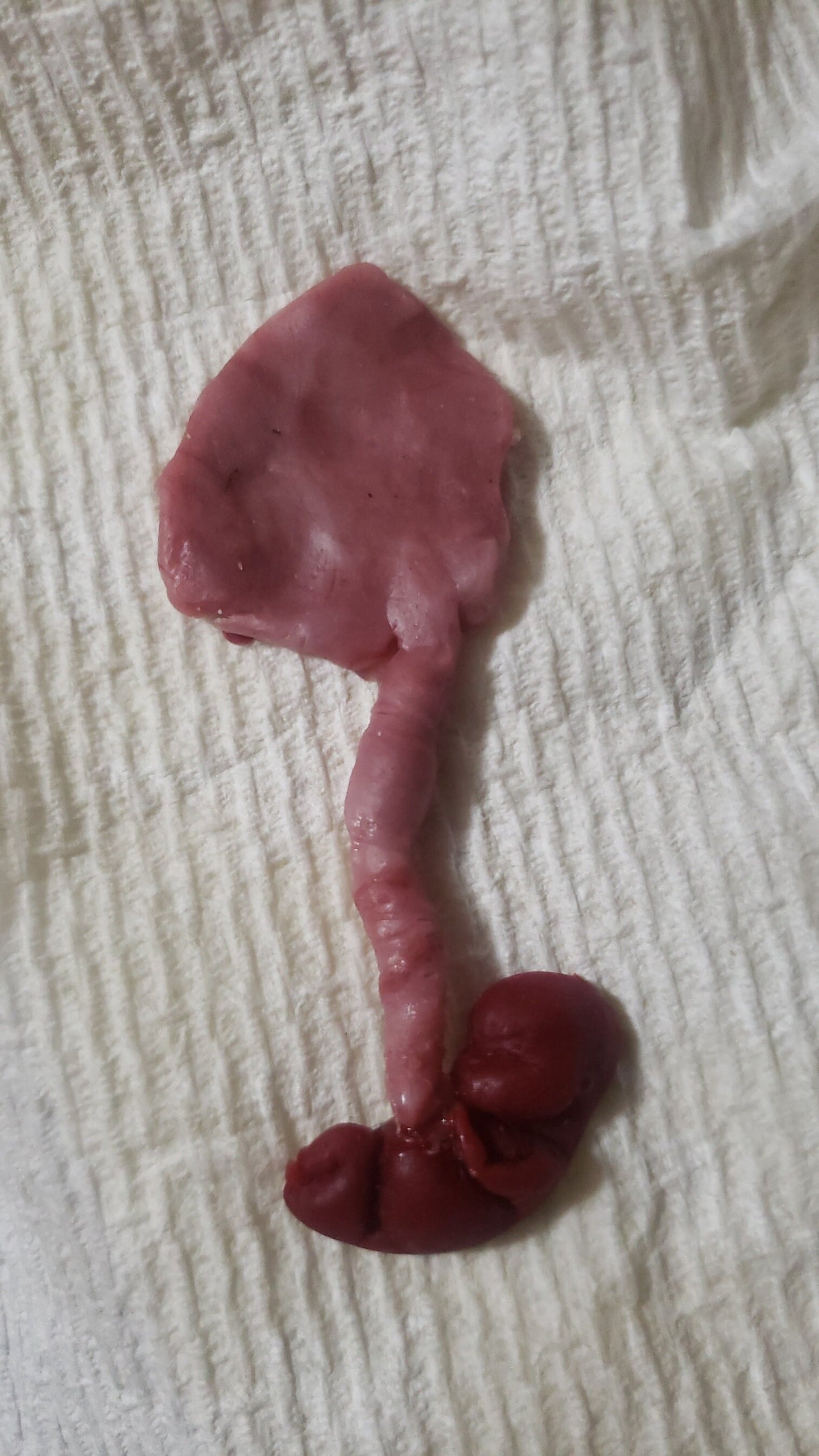 fetus silicone baby memorial with umbilical cord attached