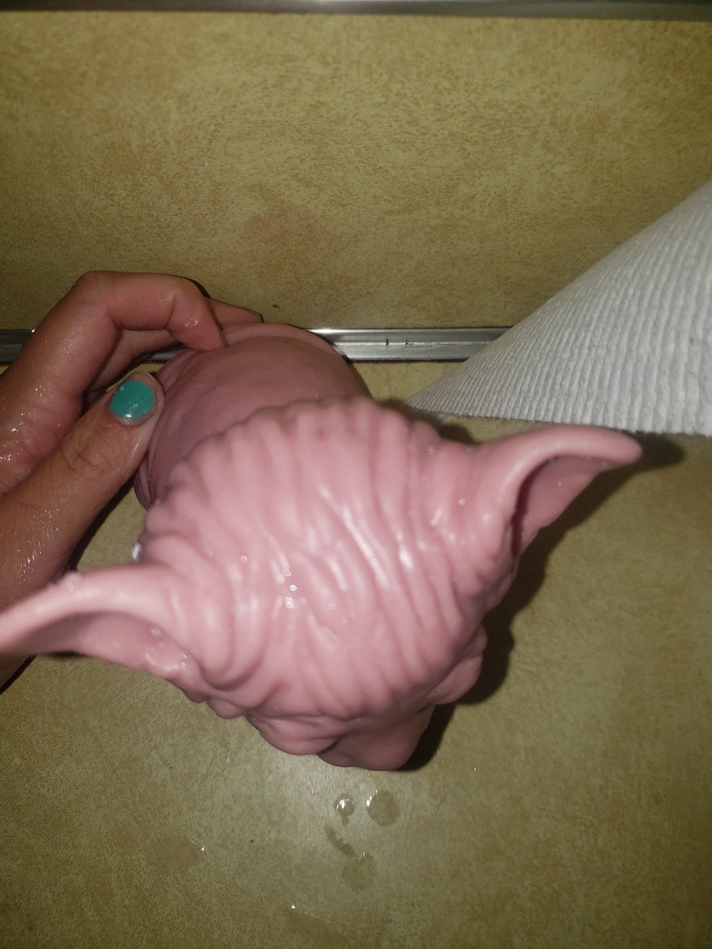 Silicone spyhnx cat kitten 6.5" Bracken taylor green