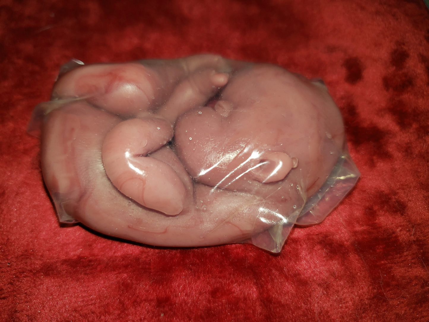 fetus silicone baby memorial inside womb