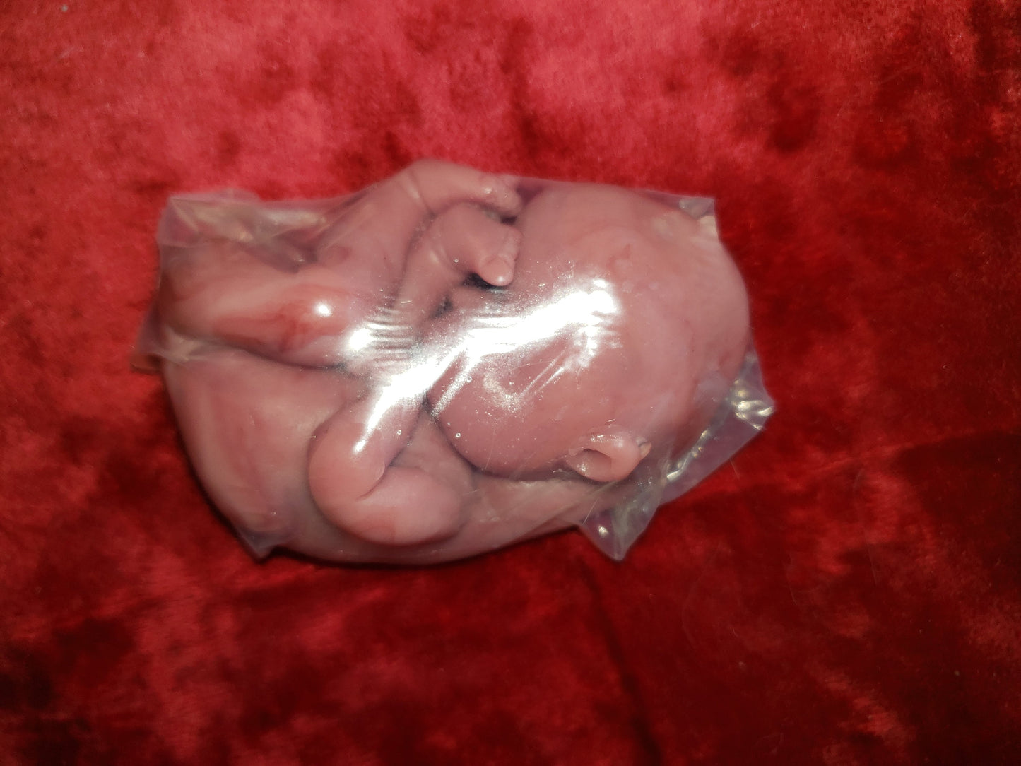 fetus silicone baby memorial inside womb