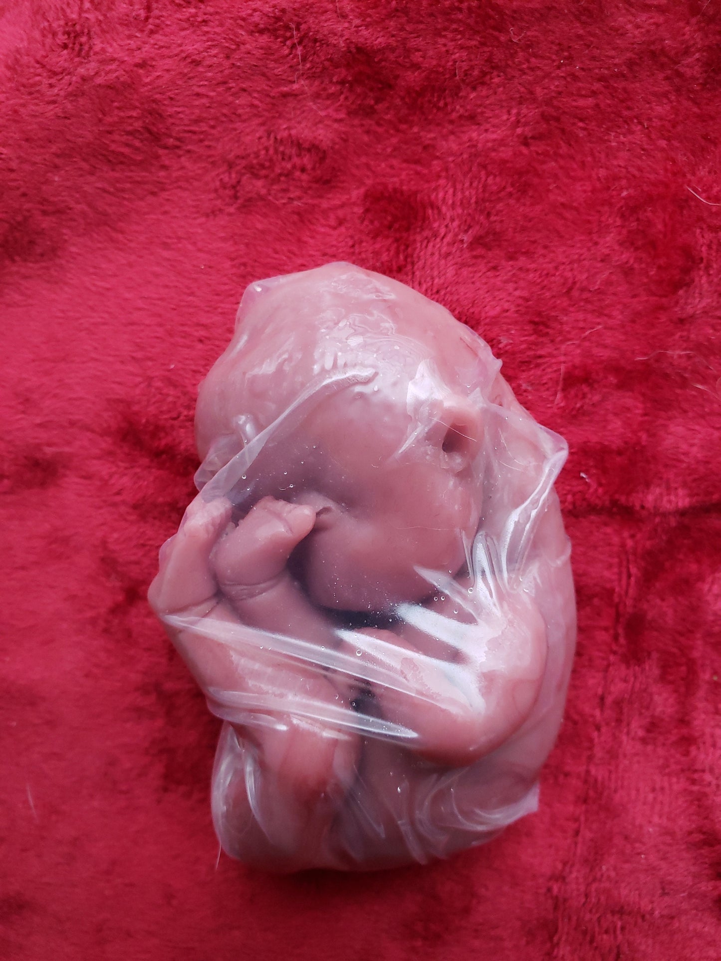 fetus silicone baby memorial inside womb