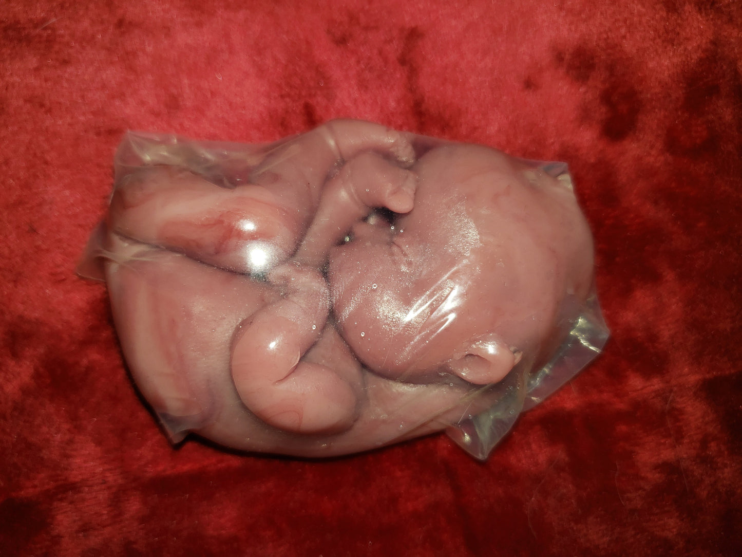 fetus silicone baby memorial inside womb