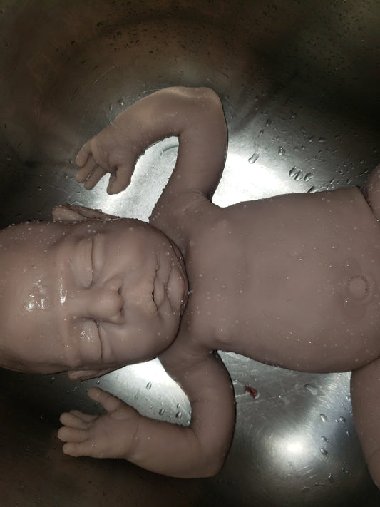 Full Body Silicone Baby 22" 14.5lbs chubby chunky baby boy! Blakely