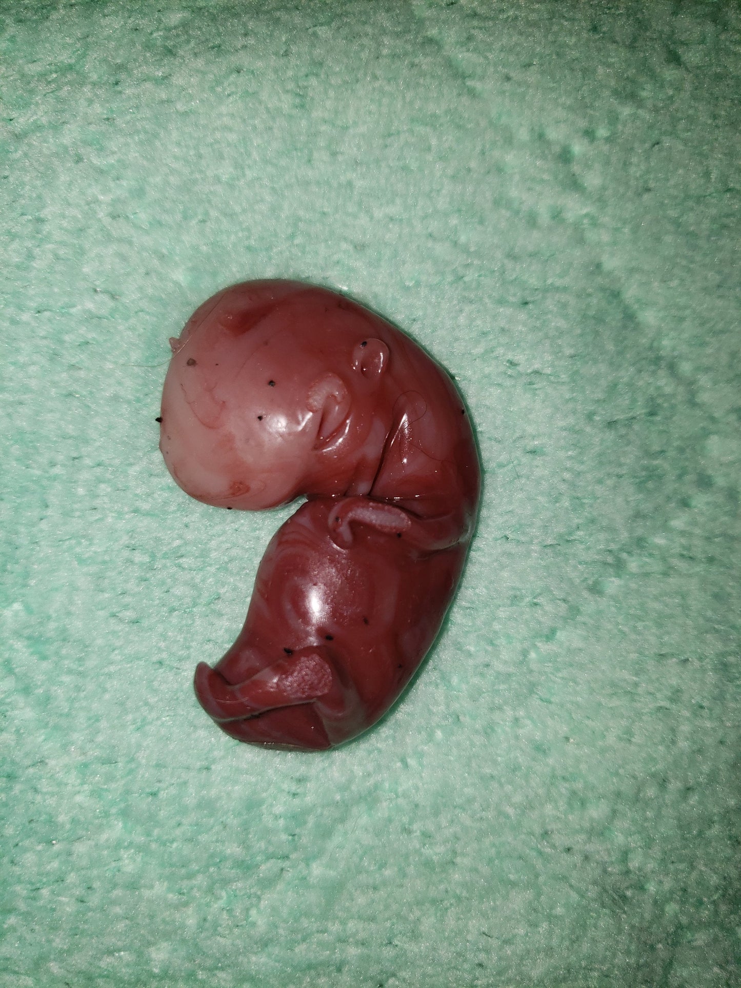 11 week gestational fetus silicone baby