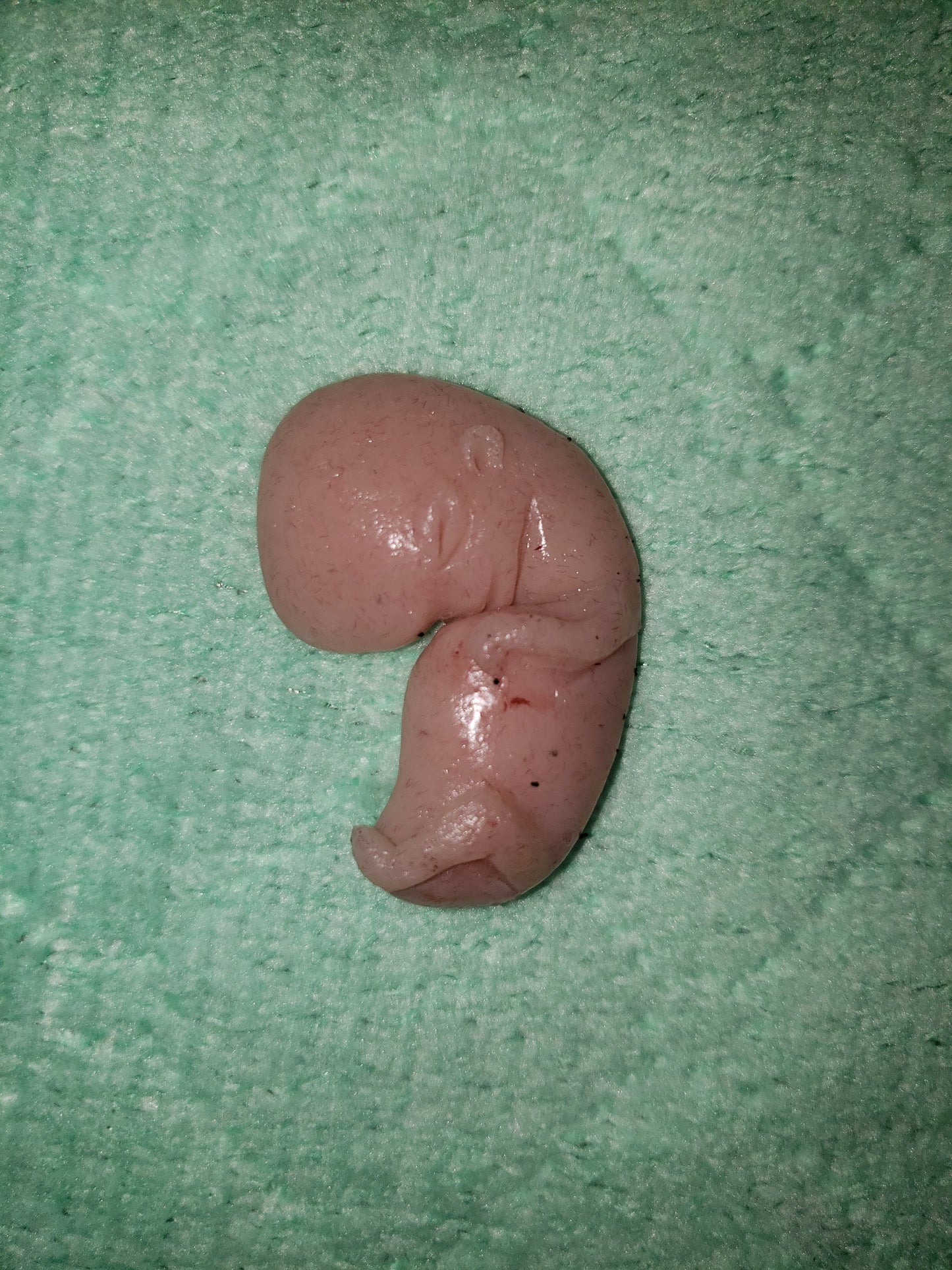 11 week gestational fetus silicone baby