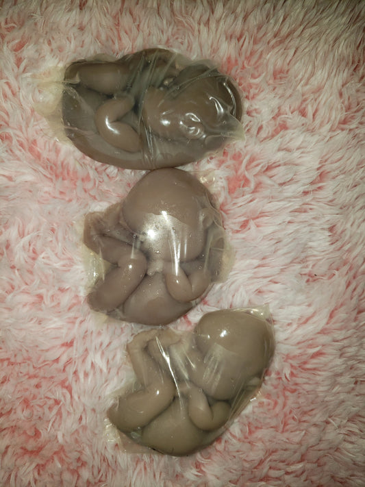 silicone baby fetus memorial baby 3.5" baby 16 week gestationin inside WOMB