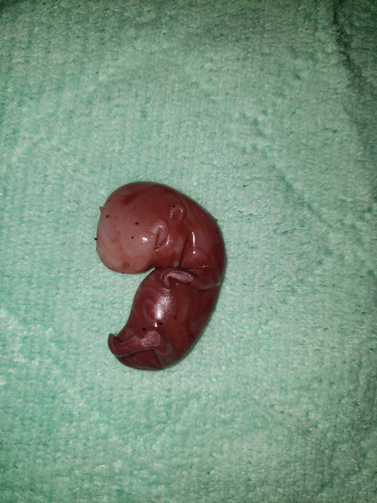 11 week gestational fetus silicone baby