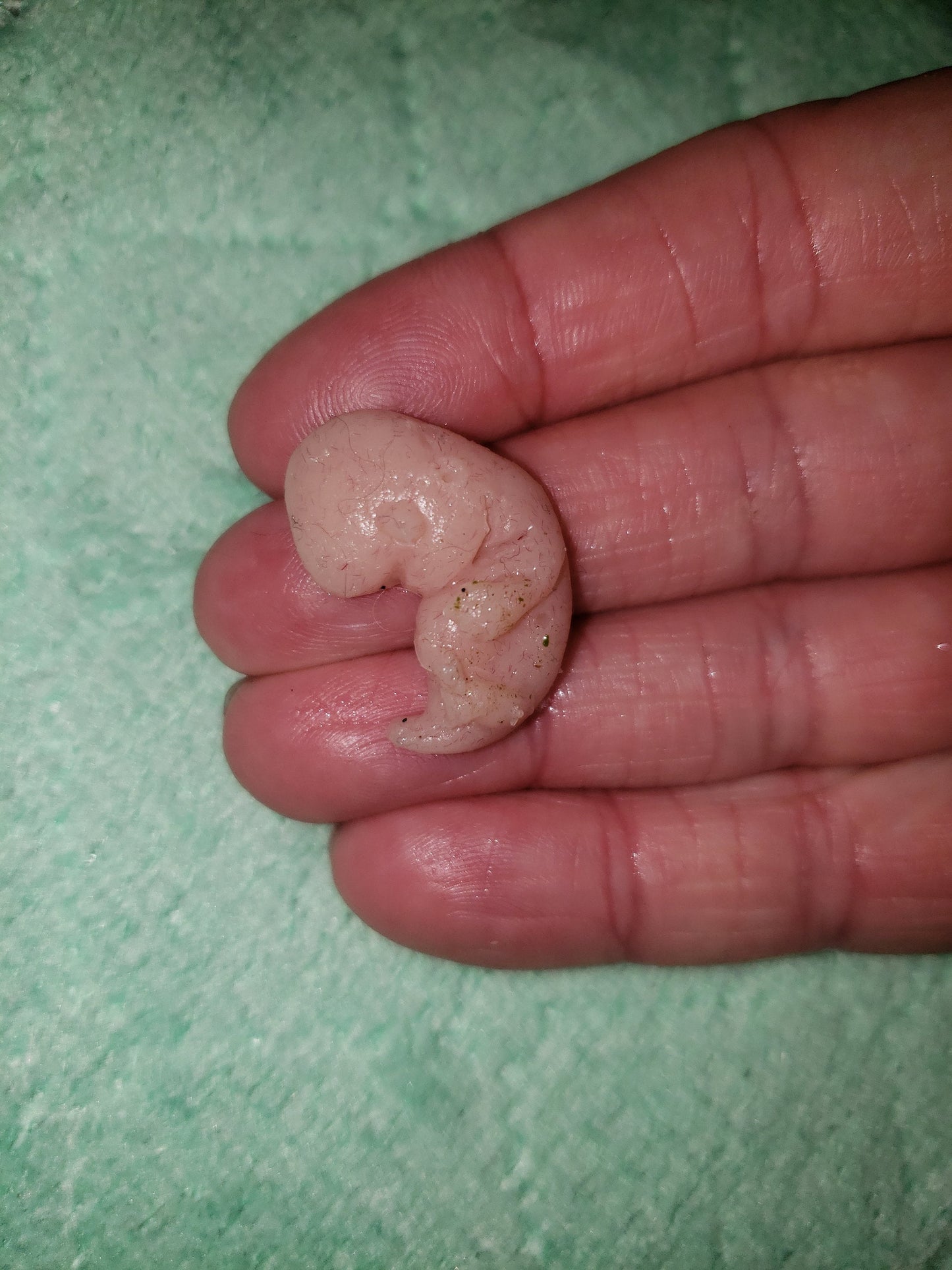 9 week gestational fetus silicone baby red/mixed color