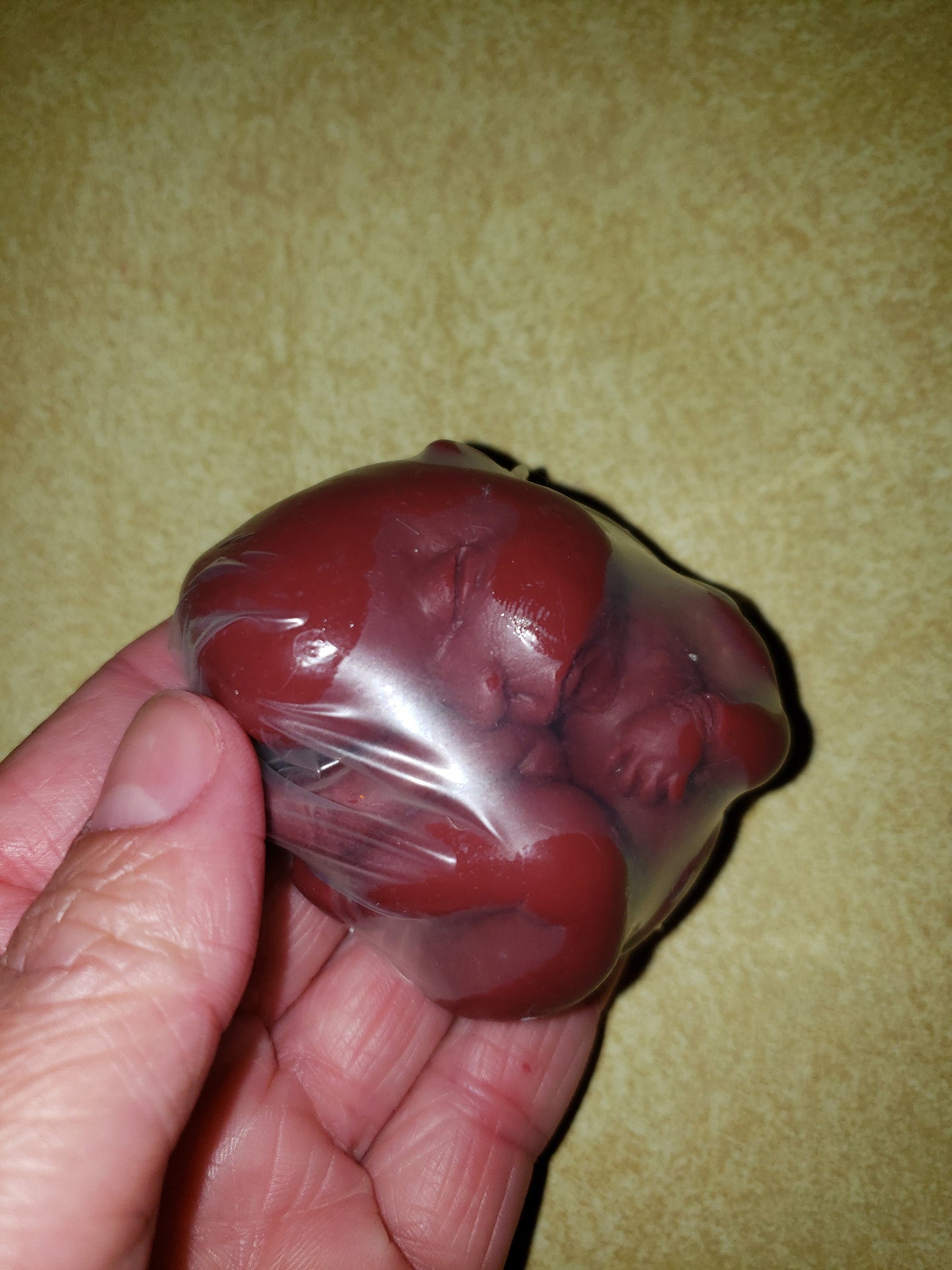 fetus silicone baby memorial inside womb