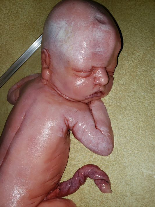 13" silicone baby  fully painted with umbilical cord maribelle NEWBORN with white vernix on body