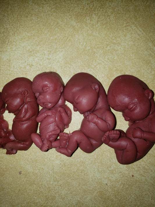 Silicone baby fetus LOT pro life developmental bundle of babies