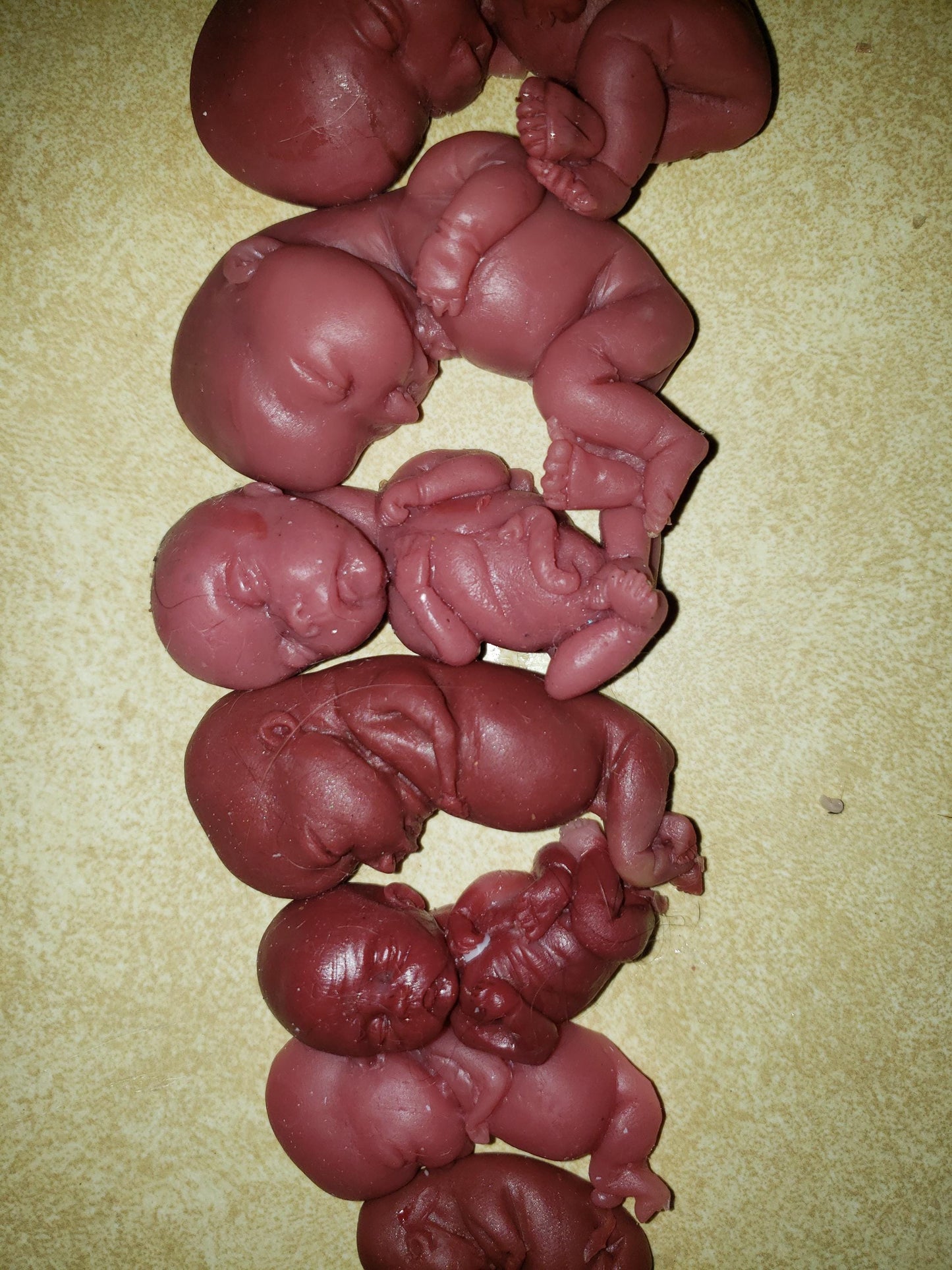 Silicone baby fetus LOT pro life developmental bundle of babies