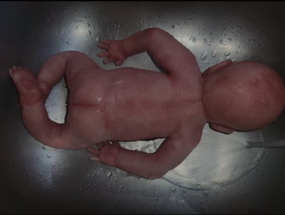 Full Body silicone baby Isla with open eyes