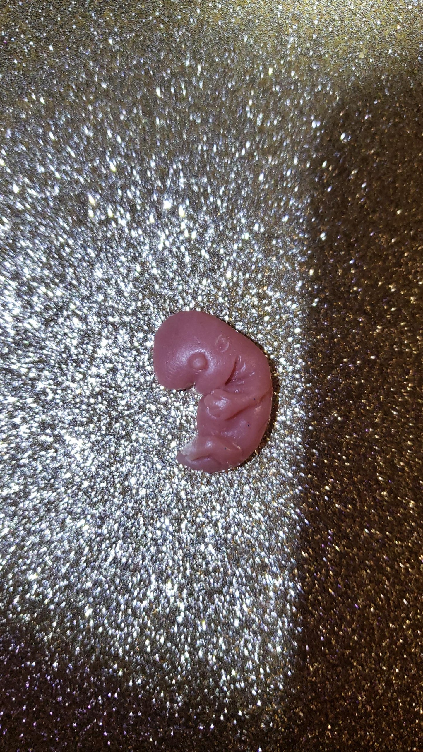 8 week gestational fetus silicone baby red/mixed color