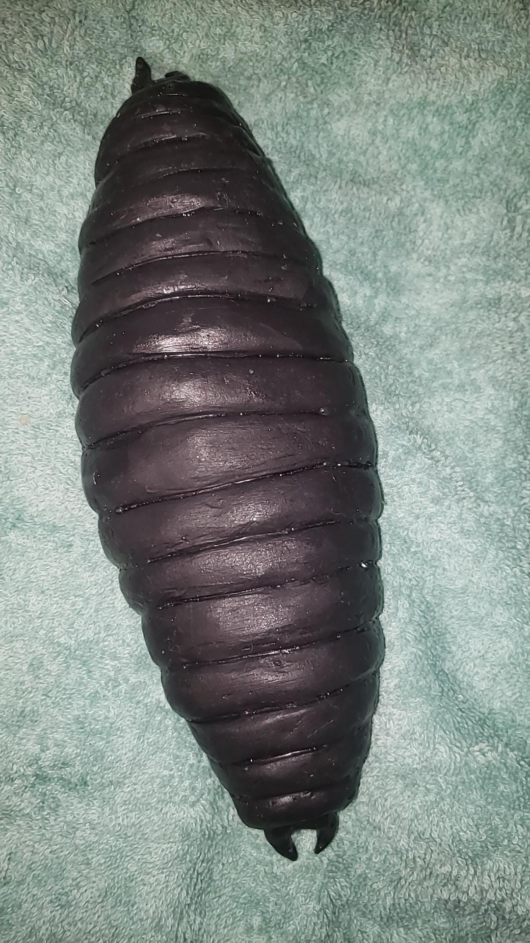 Full-body silicone flobber worm from Harry Potter 10 inches
