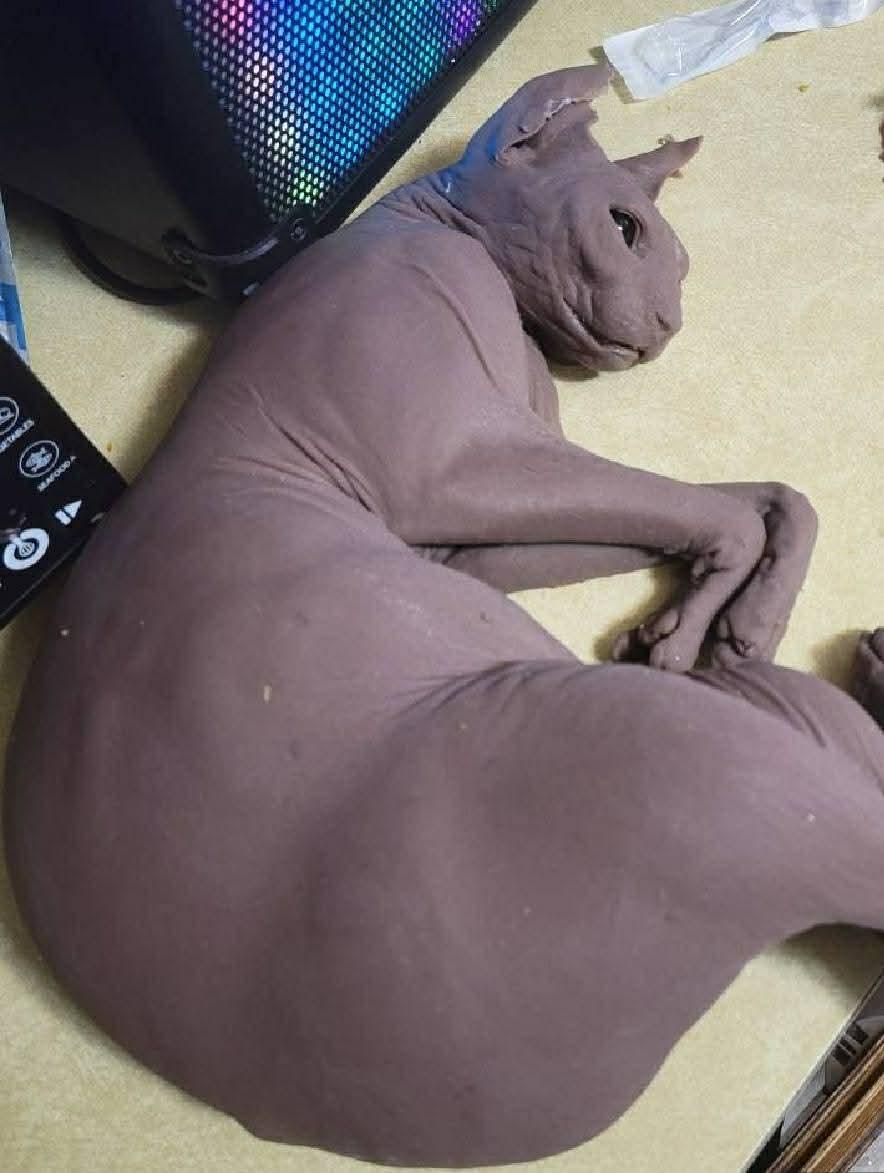 spyhnx silicone cat replica