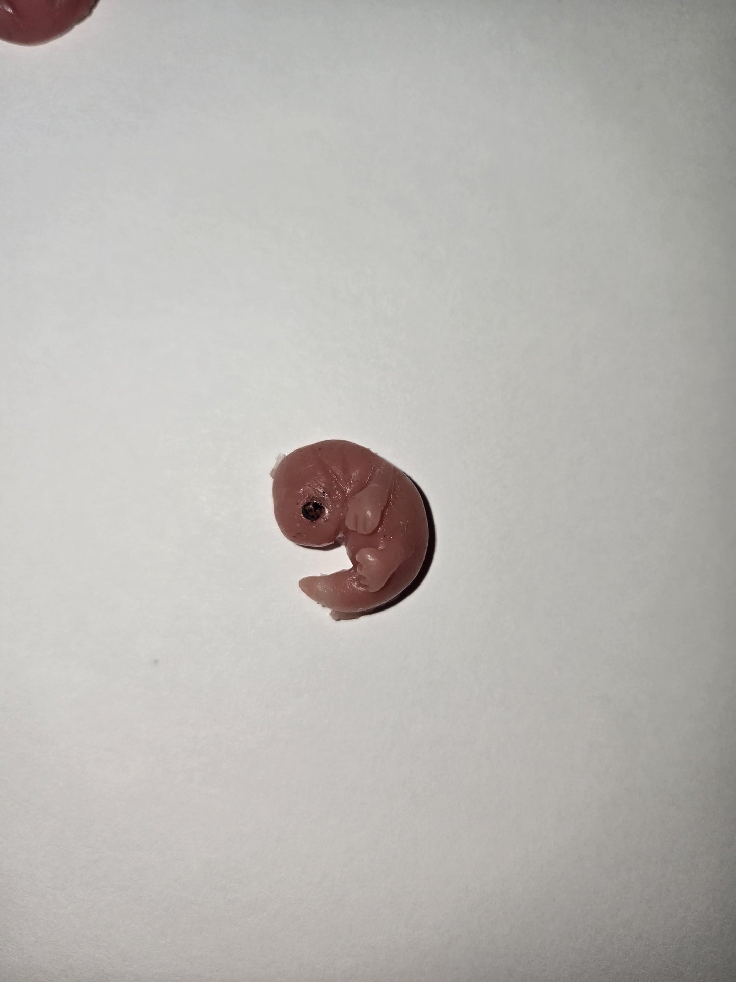 14 week gestation fetus memorial silicone baby fully painted with wings?