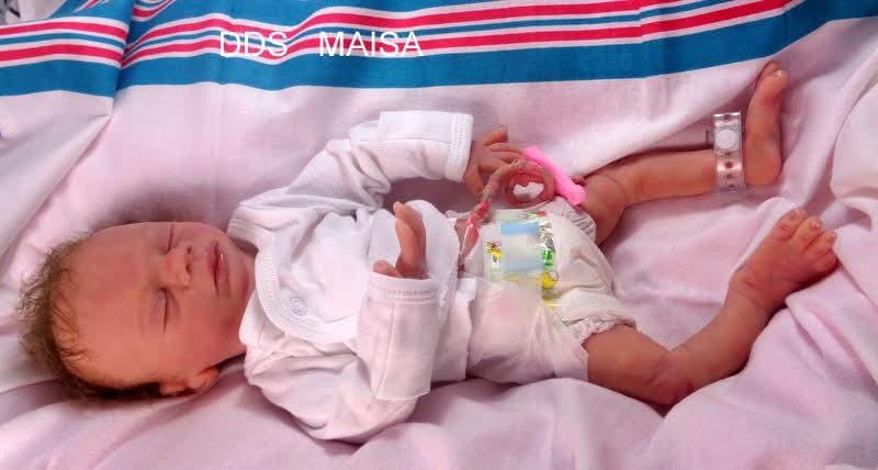 Full Body Silicone Baby 17" maisa by Donna kohn