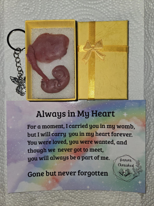 Silicone fetus with placenta and umbilical cord