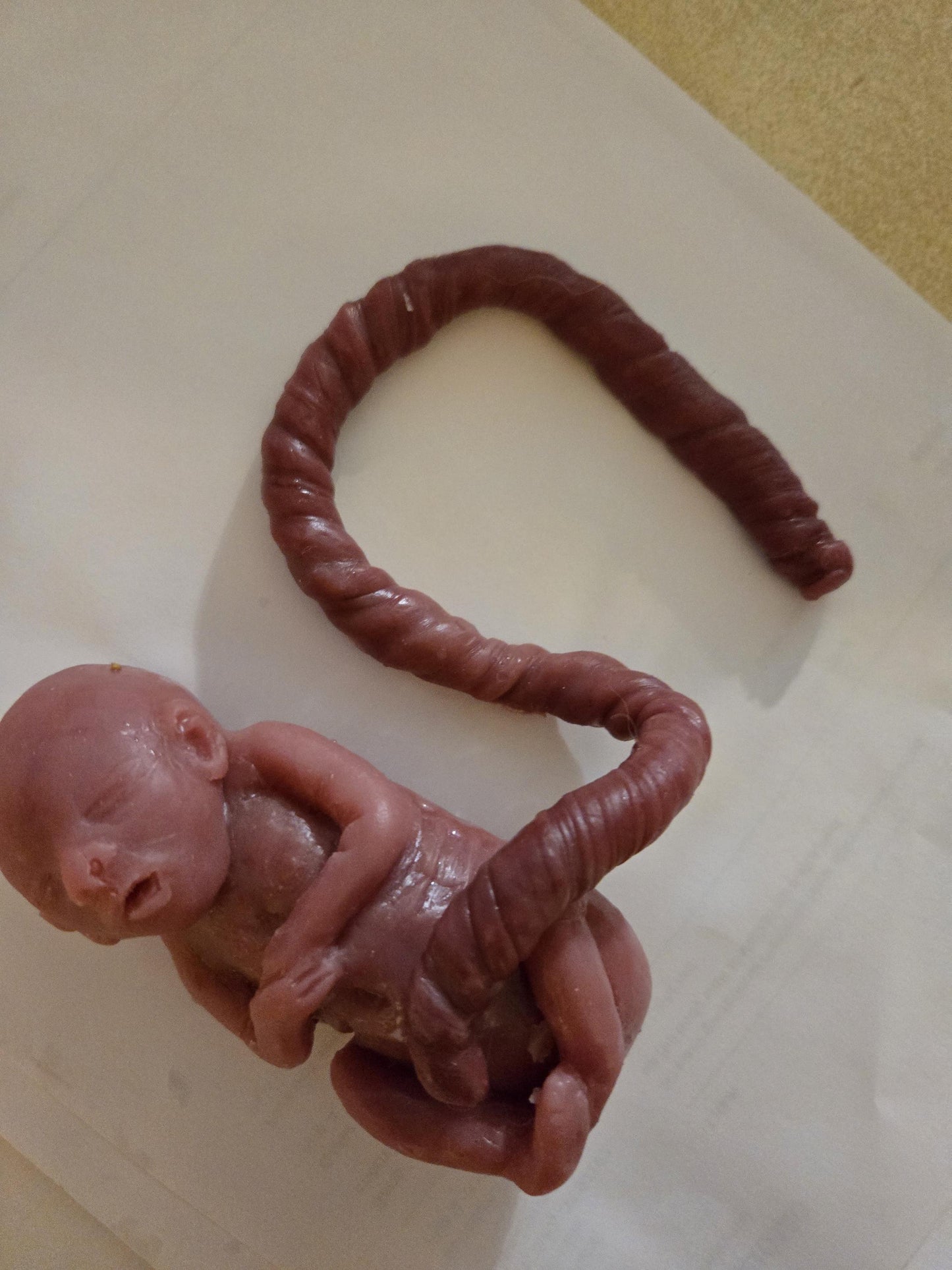 20 week gestational memorial fetus silicone baby curled up full body with umbilical cord attached