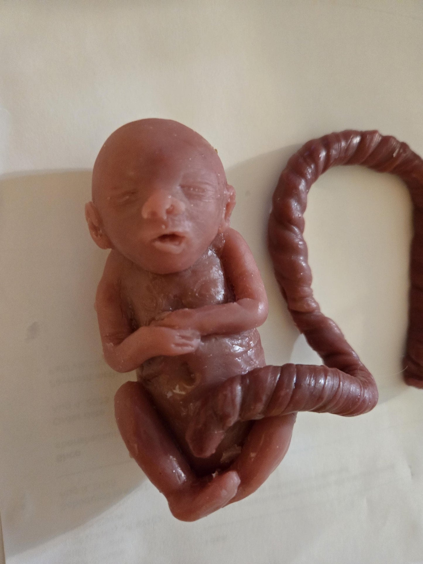 20 week gestational memorial fetus silicone baby curled up full body with umbilical cord attached