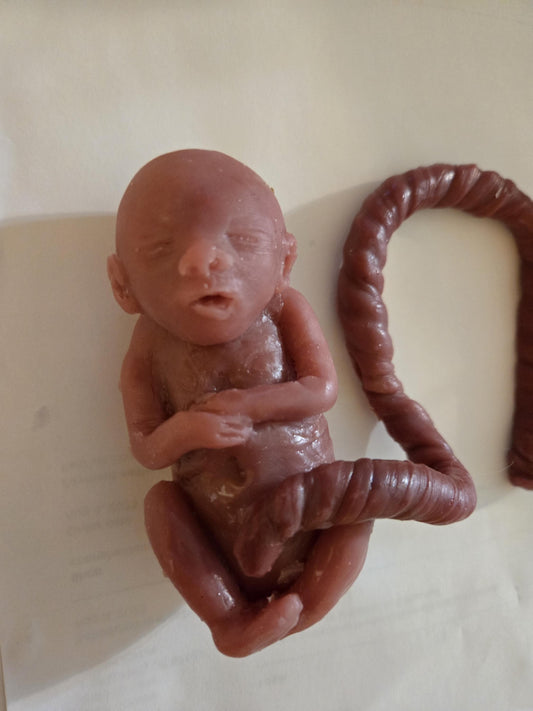 20 week gestational memorial fetus silicone baby curled up full body with umbilical cord attached
